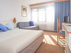 Zimmerbild 12