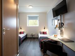 Zimmerbild 8