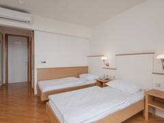 Zimmerbild 8