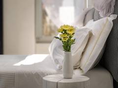 Zimmerbild 16
