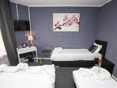 Zimmerbild 0