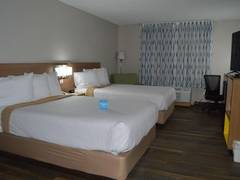 Zimmerbild 5