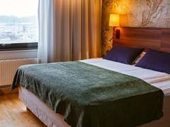 Zimmerbild 10
