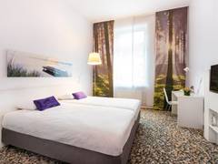 Zimmerbild 8