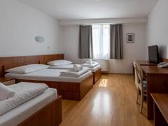 Zimmerbild 8