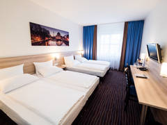 Zimmerbild 7