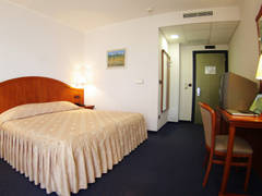 Zimmerbild 6