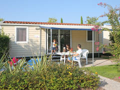 Zimmerbild 21