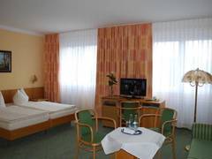 Zimmerbild 5