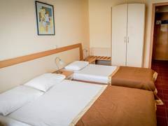Zimmerbild 13