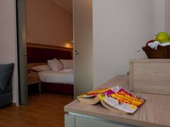 Zimmerbild 42