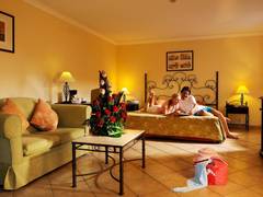 Zimmerbild 27