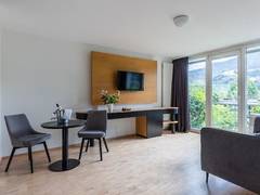 Zimmerbild 31