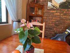 Zimmerbild 0