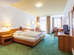 Zimmerbild 8