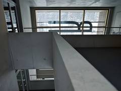 Zimmerbild 0