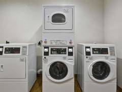 Zimmerbild 1