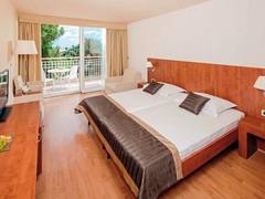 Zimmerbild 1