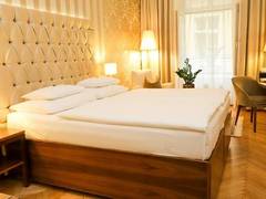 Zimmerbild 6
