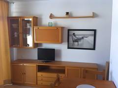 Zimmerbild 1