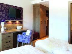 Zimmerbild 1