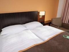 Zimmerbild 5