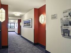 Zimmerbild 11