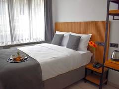 Zimmerbild 3