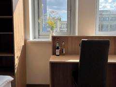 Zimmerbild 3