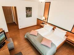 Zimmerbild 8