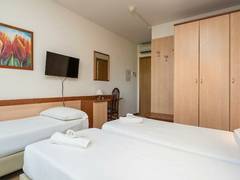 Zimmerbild 8