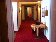 Zimmerbild 1