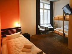 Zimmerbild 1