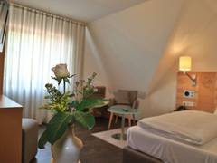 Zimmerbild 9