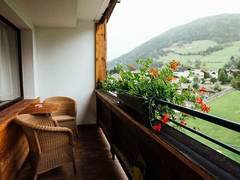 Zimmerbild 2