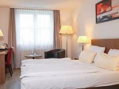 Zimmerbild 2