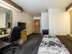 Zimmerbild 9