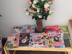 Zimmerbild 2