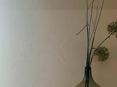 Zimmerbild 1