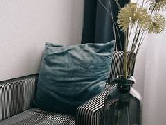 Zimmerbild 2