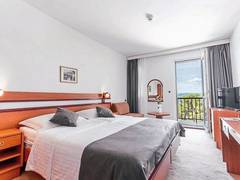 Zimmerbild 4