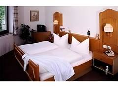 Zimmerbild 1