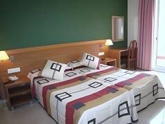 Zimmerbild 8