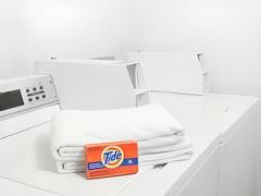 Zimmerbild 0