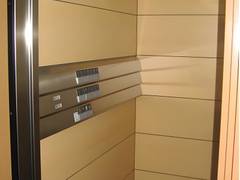 Zimmerbild 5