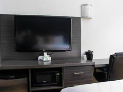 Zimmerbild 8