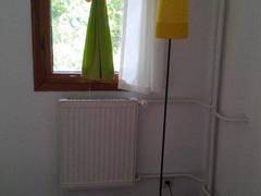 Zimmerbild 1
