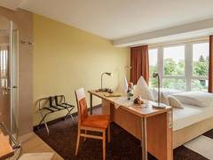 Zimmerbild 4