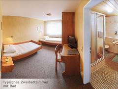Zimmerbild 2