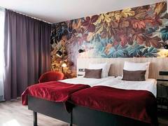 Zimmerbild 6